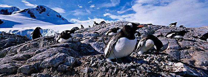 《最终幻想：像素重制版》容量揭晓 NS版5.7G
