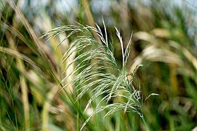 《小丑牌》作者发布1.1更新进展 今年内不会推出